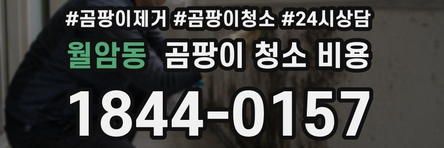 월암동 곰팡이 청소 비용