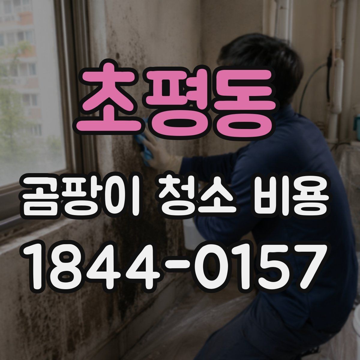 초평동 곰팡이 청소 비용 장비와 약품 조합에 따라 달라지는 견적
