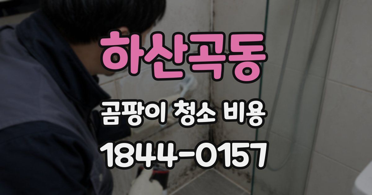 하산곡동 곰팡이 청소 비용
