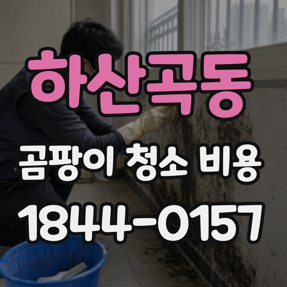 하산곡동 곰팡이 청소 비용
