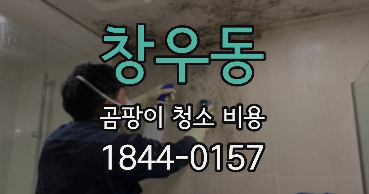 창우동 곰팡이 청소 비용