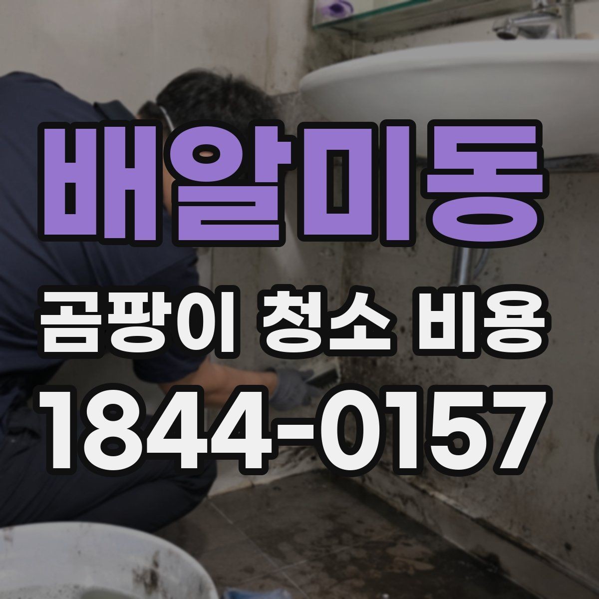 배알미동 곰팡이 청소 비용 아이 방 환기 습관과 재발 가능성 살펴보기