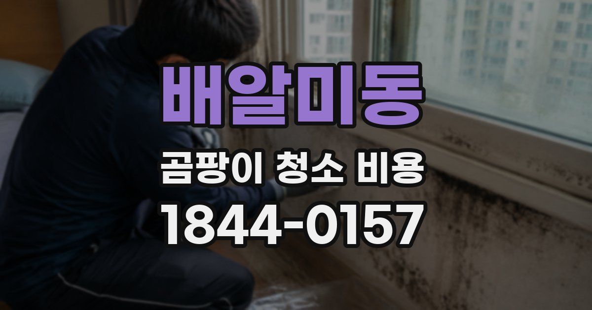배알미동 곰팡이 청소 비용