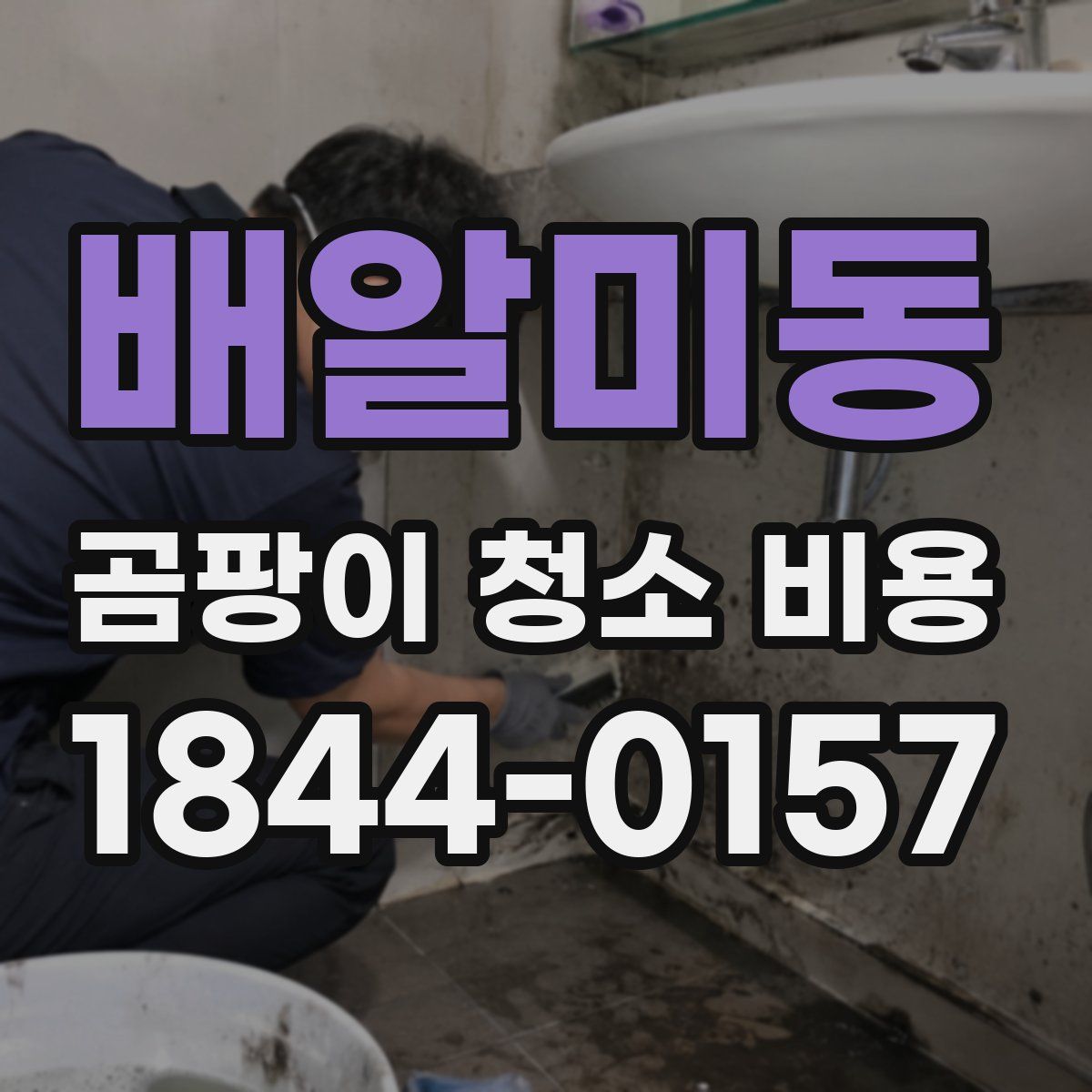 배알미동 곰팡이 청소 비용