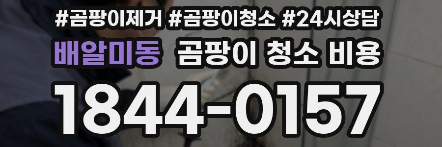 배알미동 곰팡이 청소 비용
