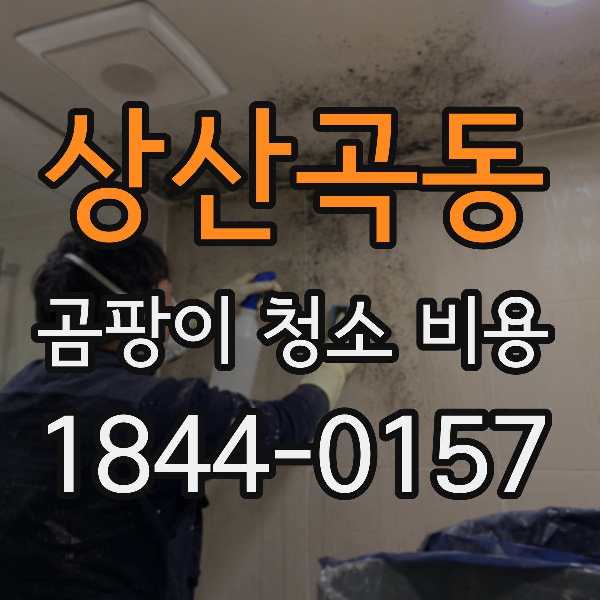 상산곡동 곰팡이 청소 비용