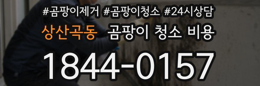 상산곡동 곰팡이 청소 비용