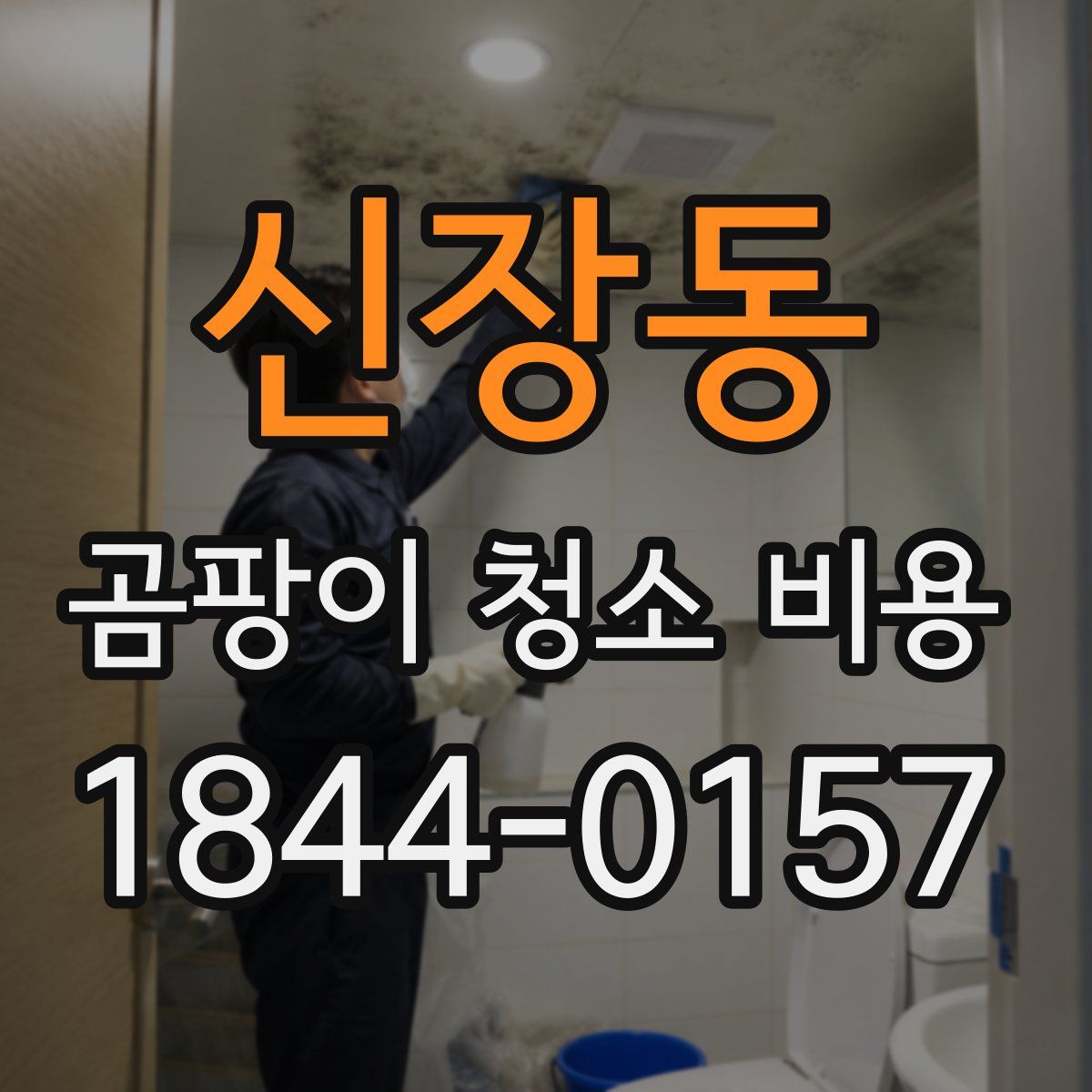 신장동 곰팡이 청소 비용