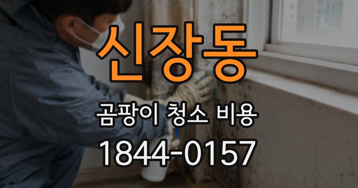 신장동 곰팡이 청소 비용