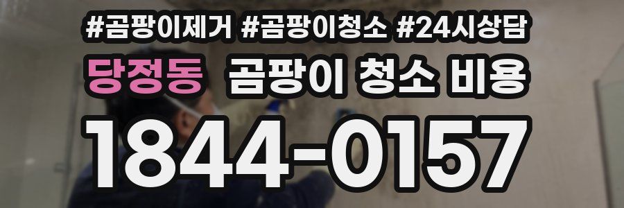 당정동 곰팡이 청소 비용
