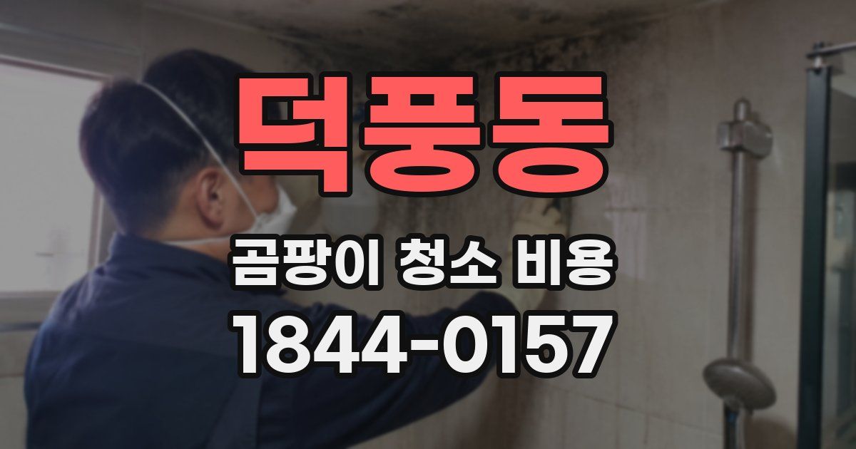 덕풍동 곰팡이 청소 비용
