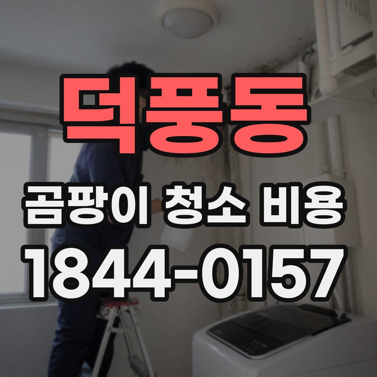 덕풍동 곰팡이 청소 비용