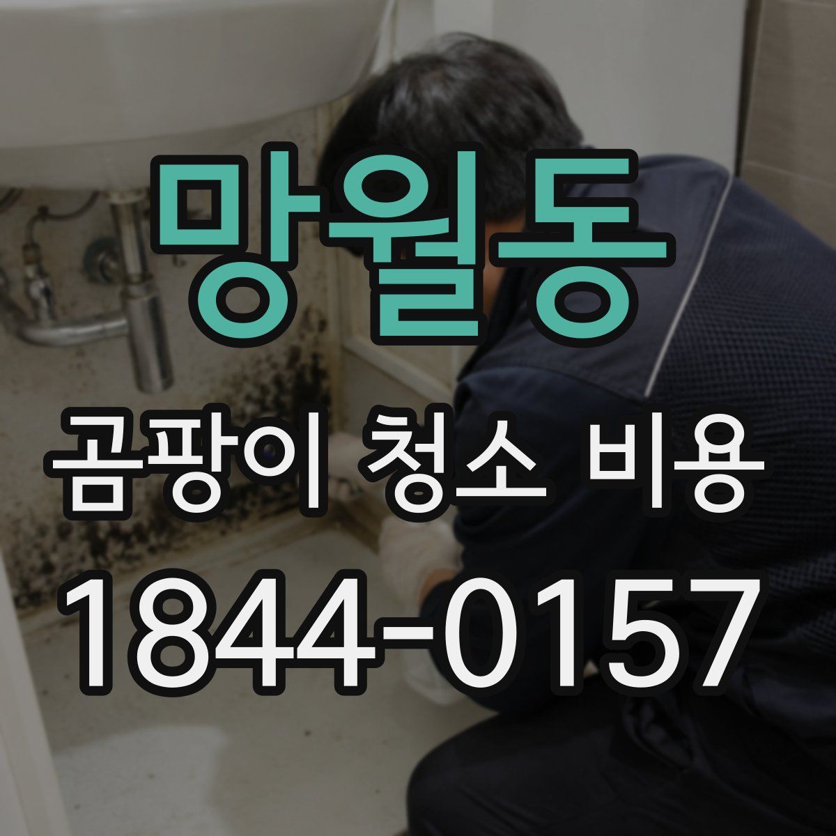 망월동 곰팡이 청소 비용