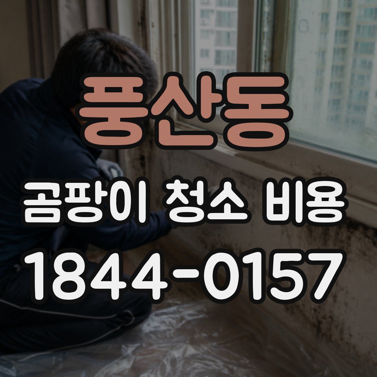 풍산동 곰팡이 청소 비용