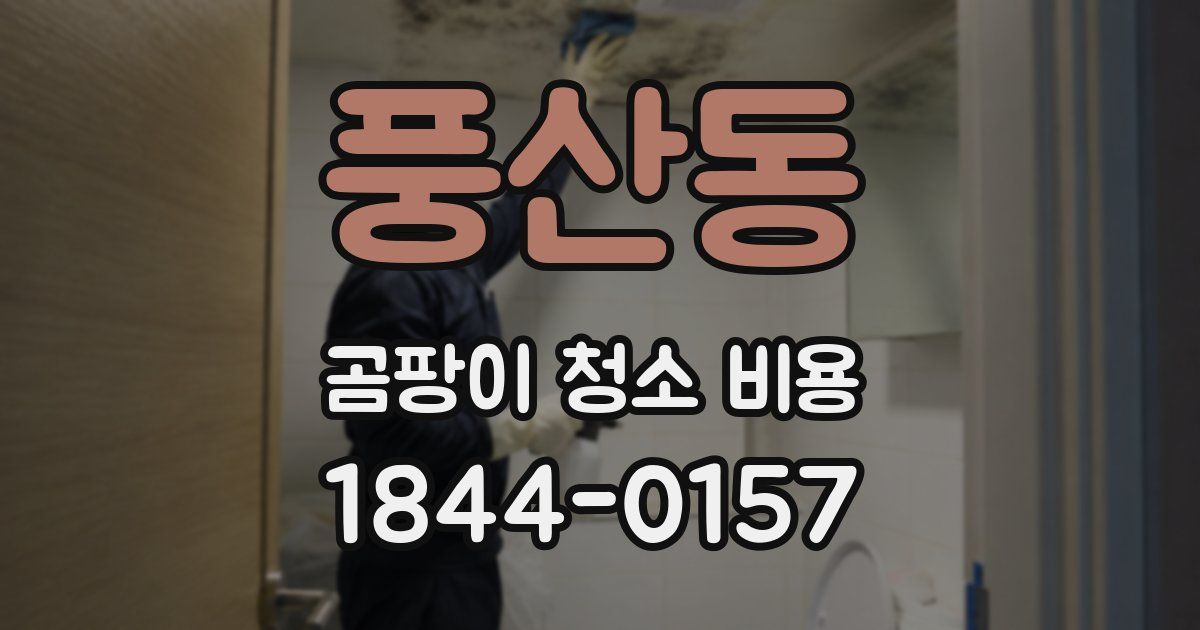 풍산동 곰팡이 청소 비용
