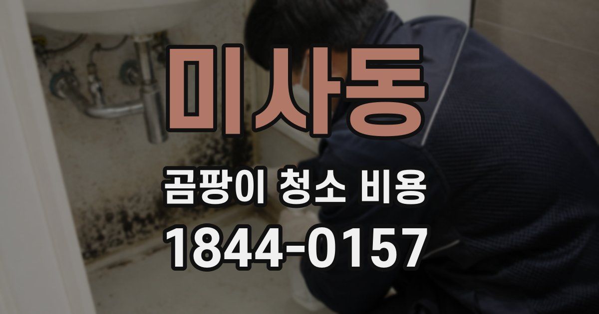 미사동 곰팡이 청소 비용