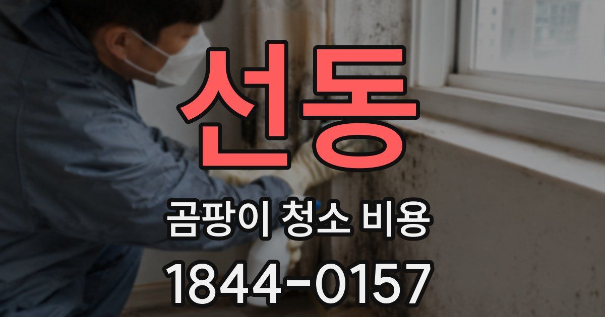 선동 곰팡이 청소 비용