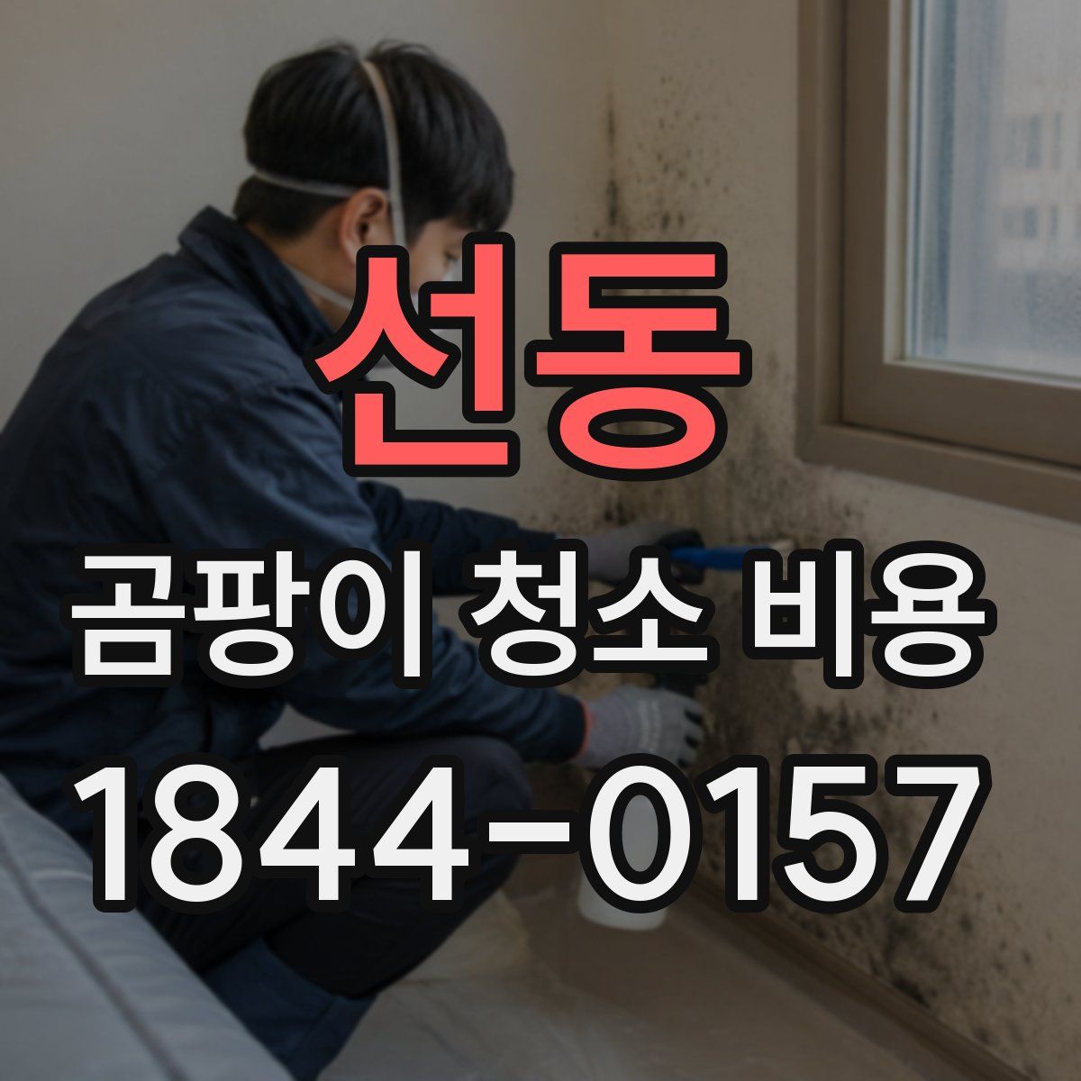 선동 곰팡이 청소 비용