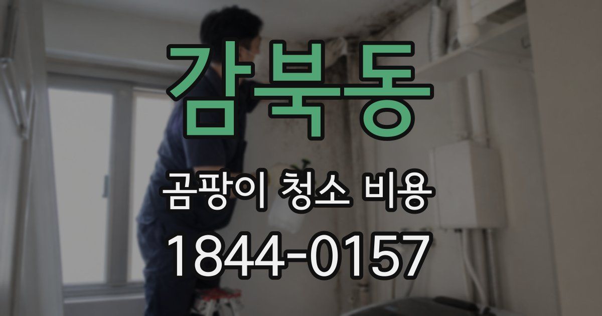 감북동 곰팡이 청소 비용