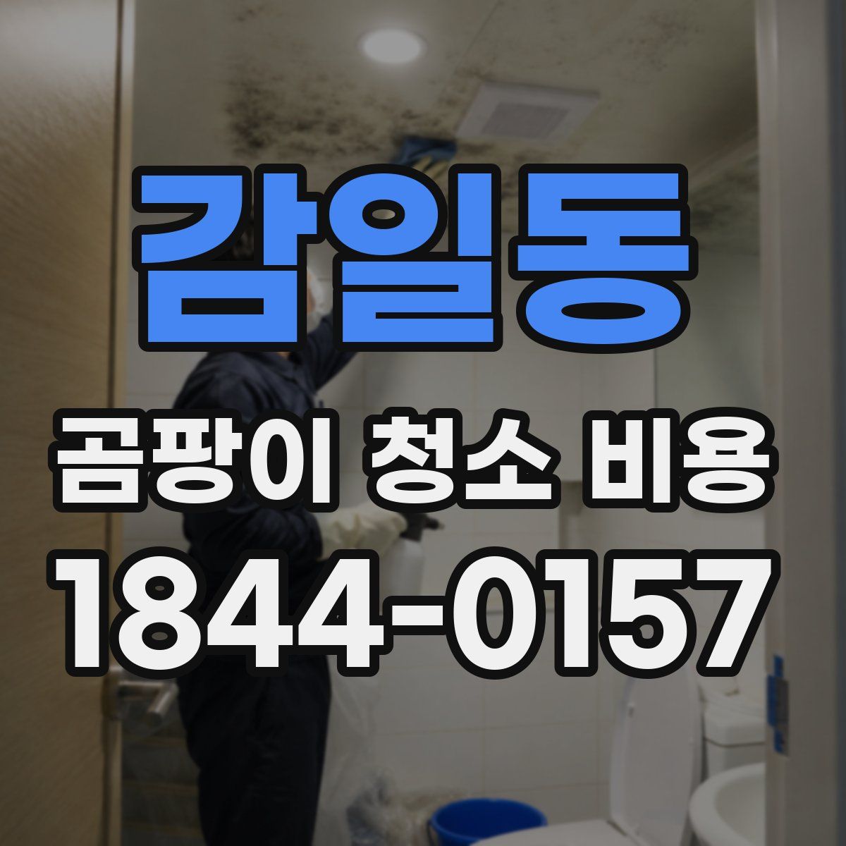 감일동 곰팡이 청소 비용