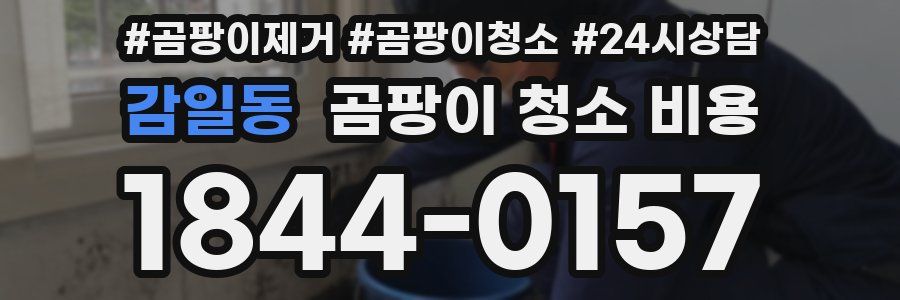 감일동 곰팡이 청소 비용
