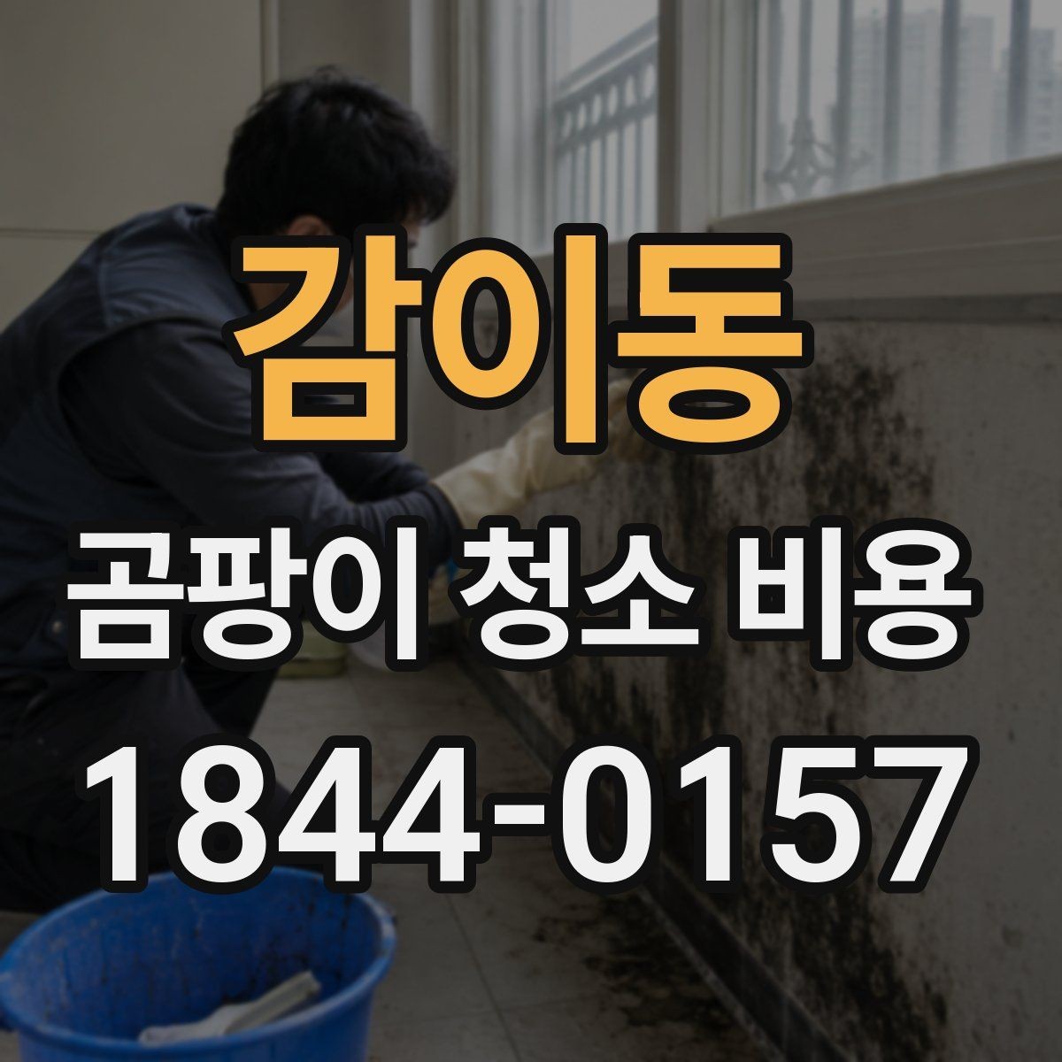 감이동 곰팡이 청소 비용 누수 흔적이 보일 때 작업 전 점검 순서