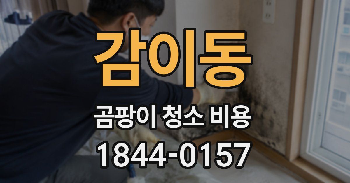 감이동 곰팡이 청소 비용