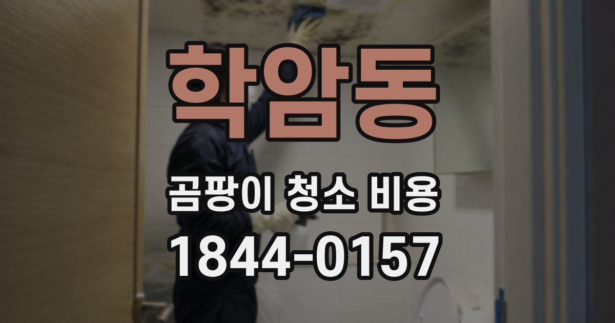 학암동 곰팡이 청소 비용