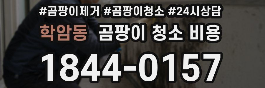 학암동 곰팡이 청소 비용