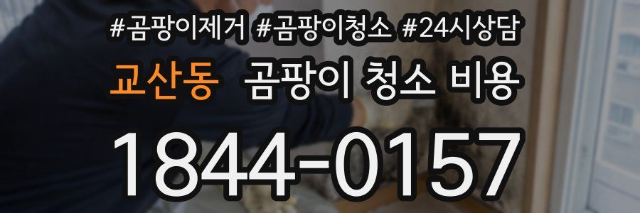 교산동 곰팡이 청소 비용