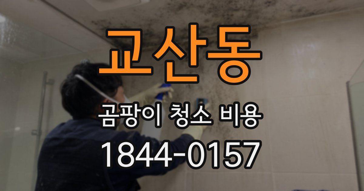 교산동 곰팡이 청소 비용