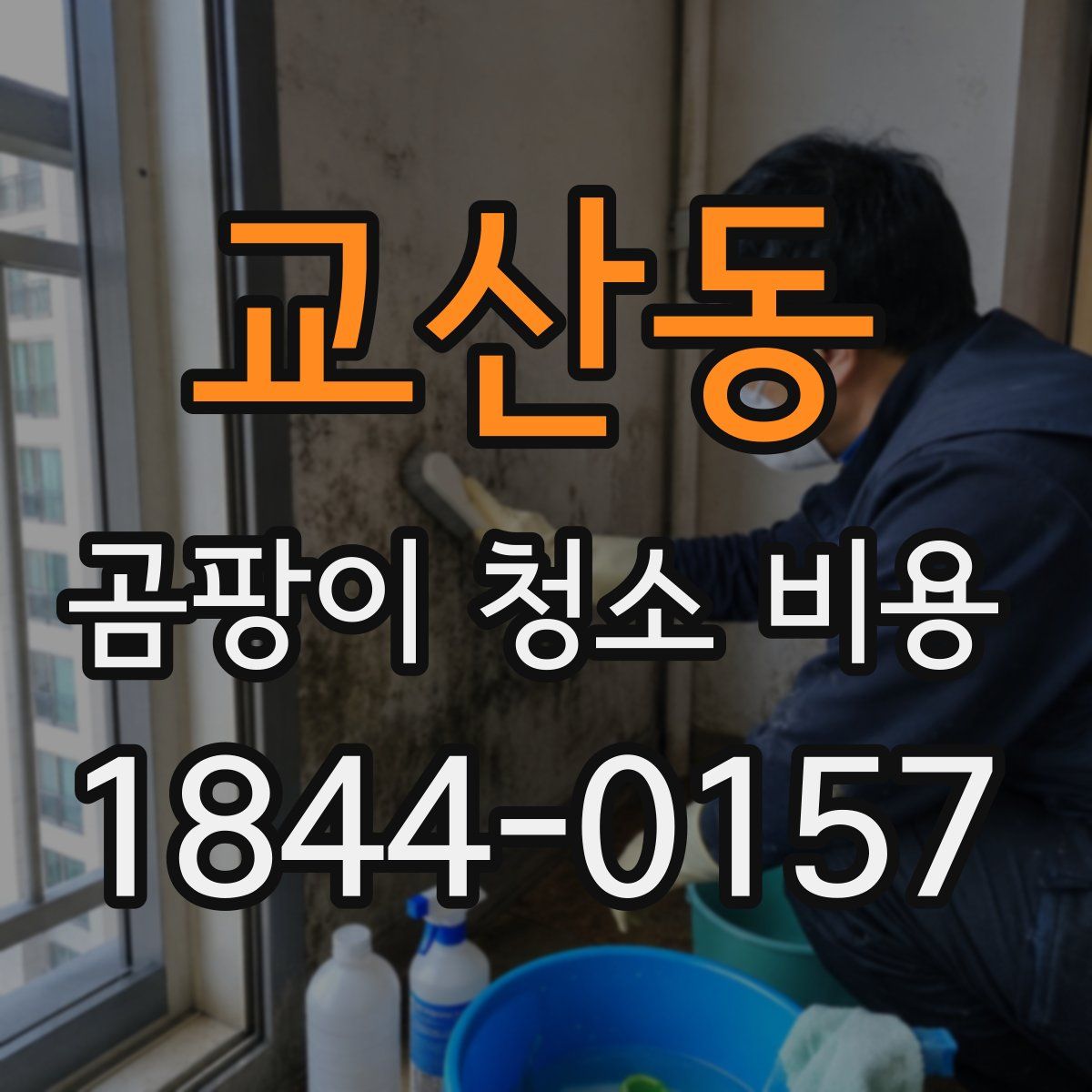 교산동 곰팡이 청소 비용