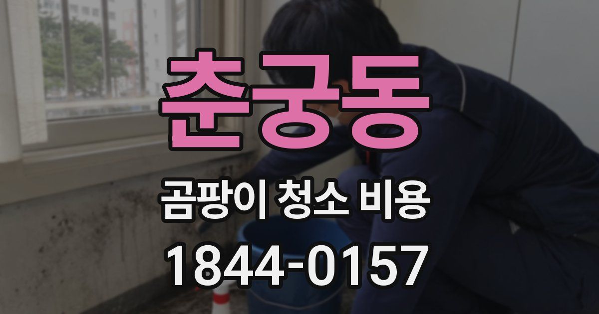 춘궁동 곰팡이 청소 비용