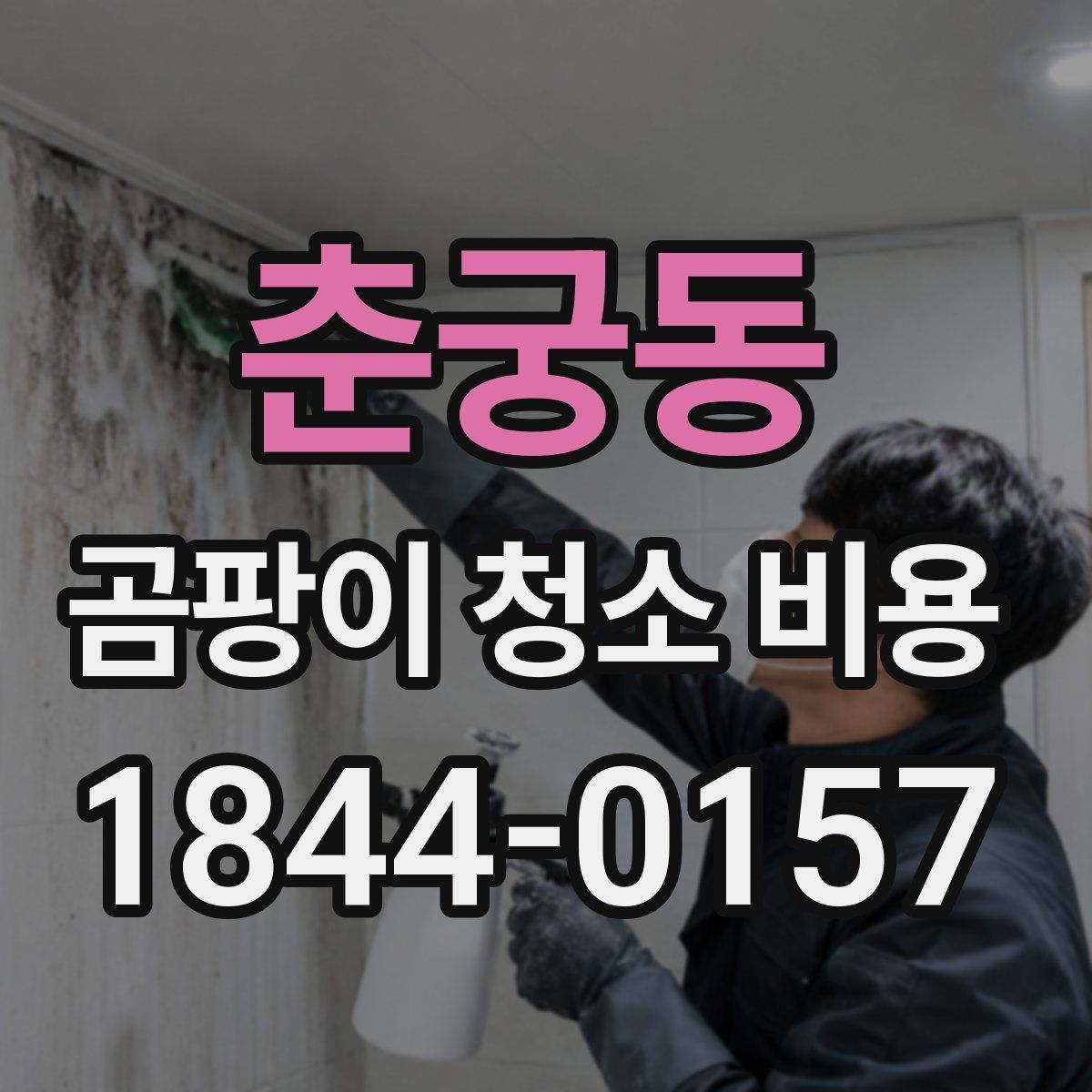 춘궁동 곰팡이 청소 비용