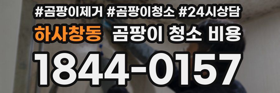 하사창동 곰팡이 청소 비용