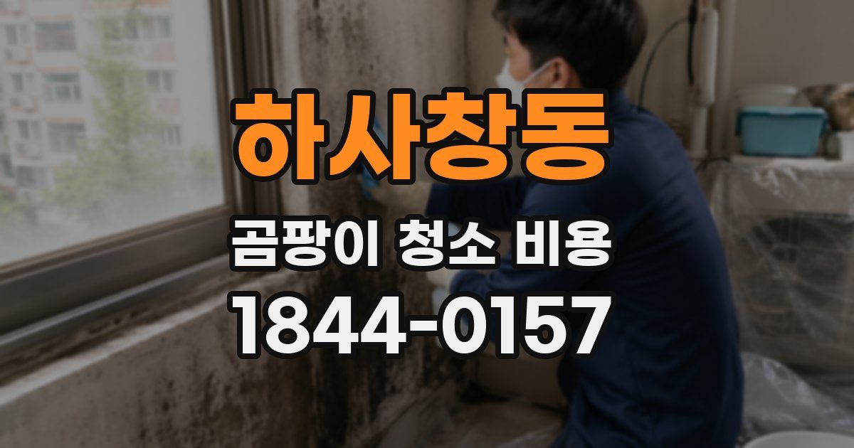 하사창동 곰팡이 청소 비용