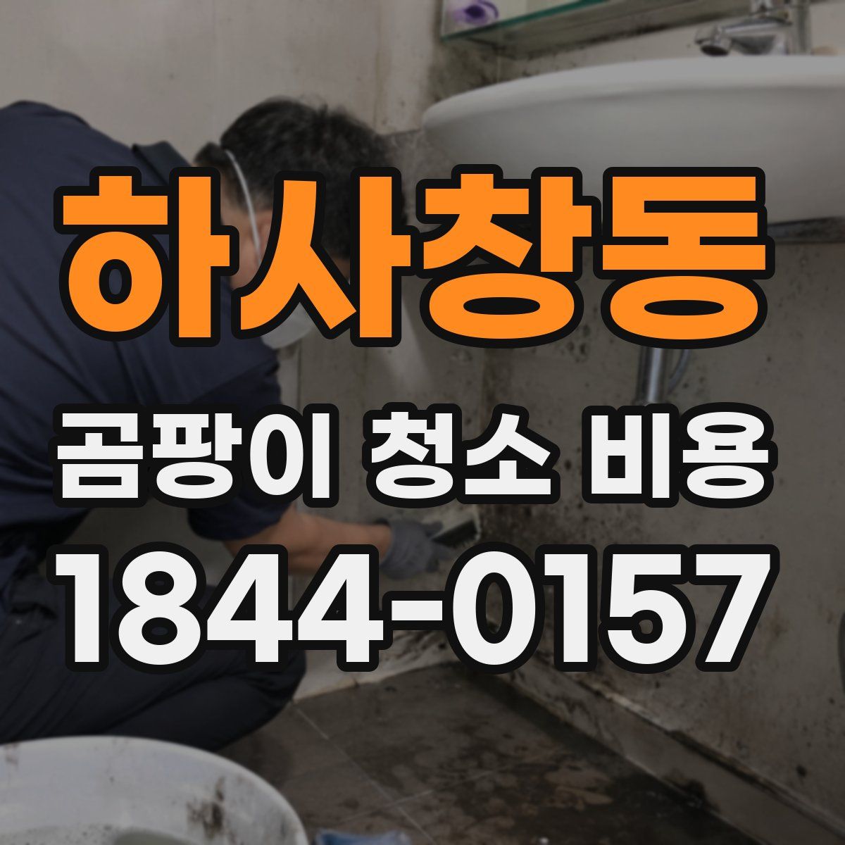 하사창동 곰팡이 청소 비용
