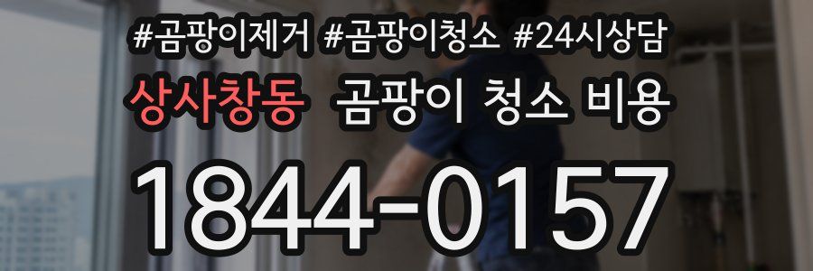 상사창동 곰팡이 청소 비용