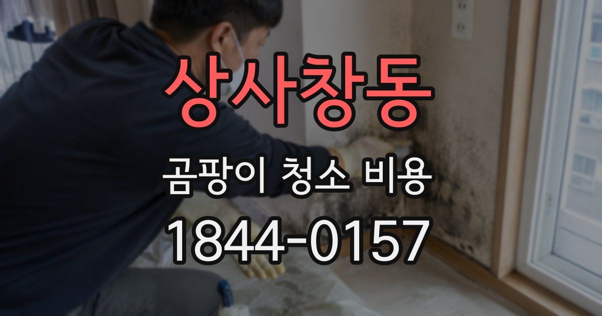 상사창동 곰팡이 청소 비용