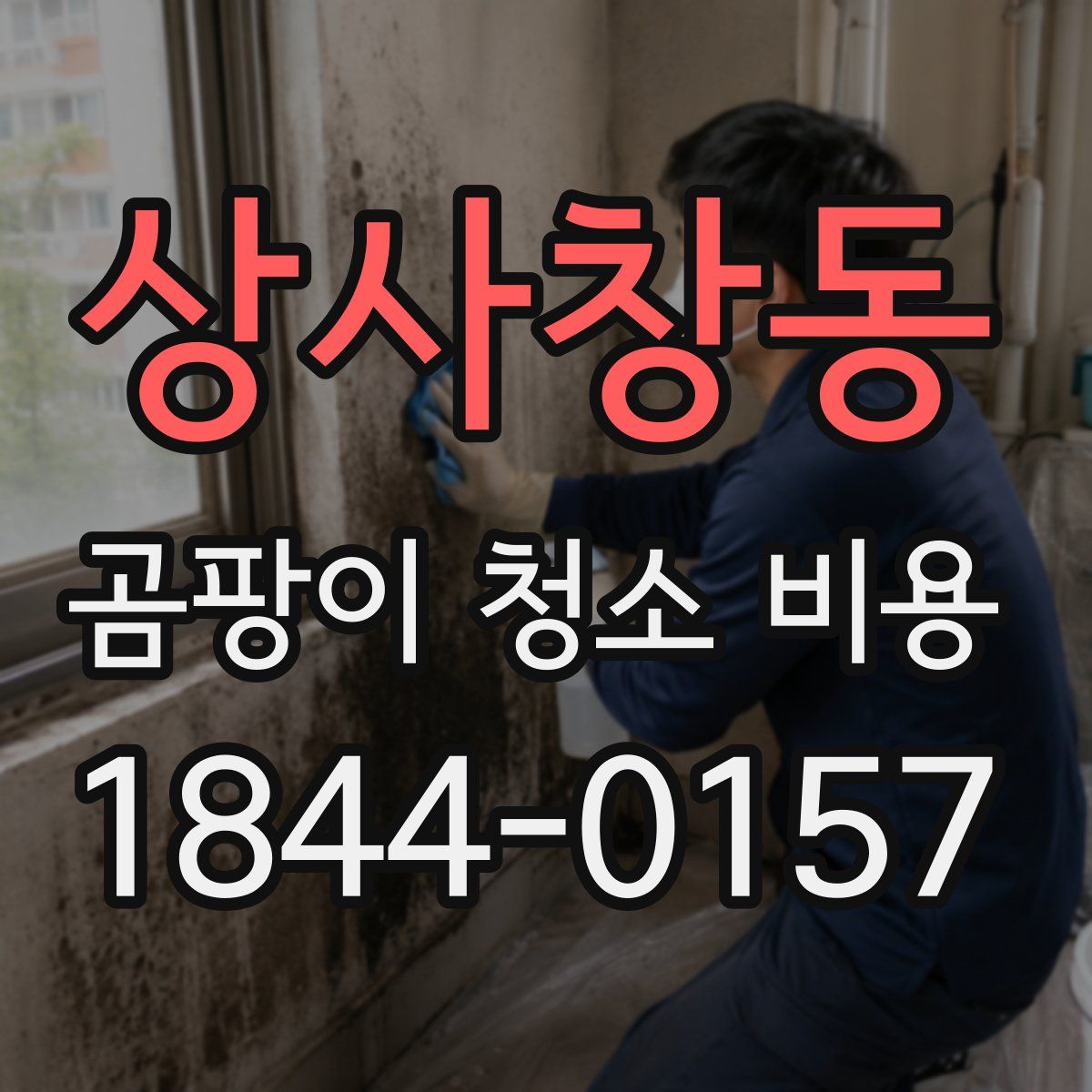 상사창동 곰팡이 청소 비용