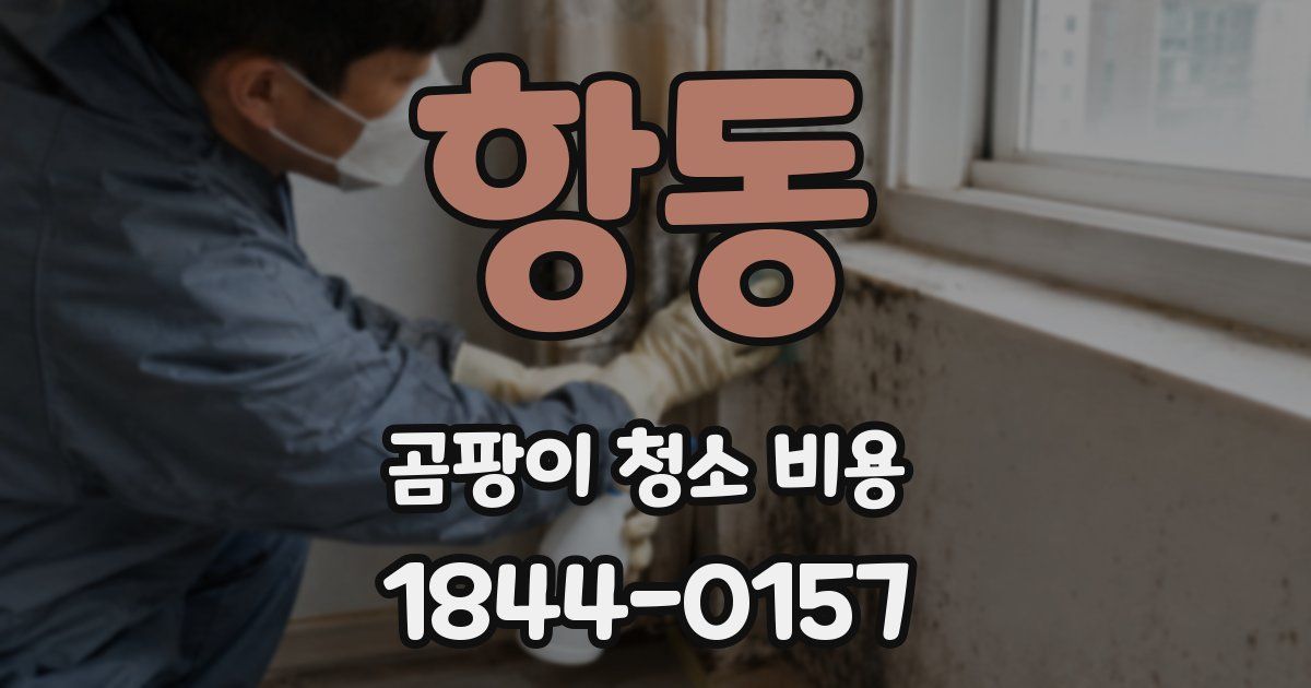 항동 곰팡이 청소 비용