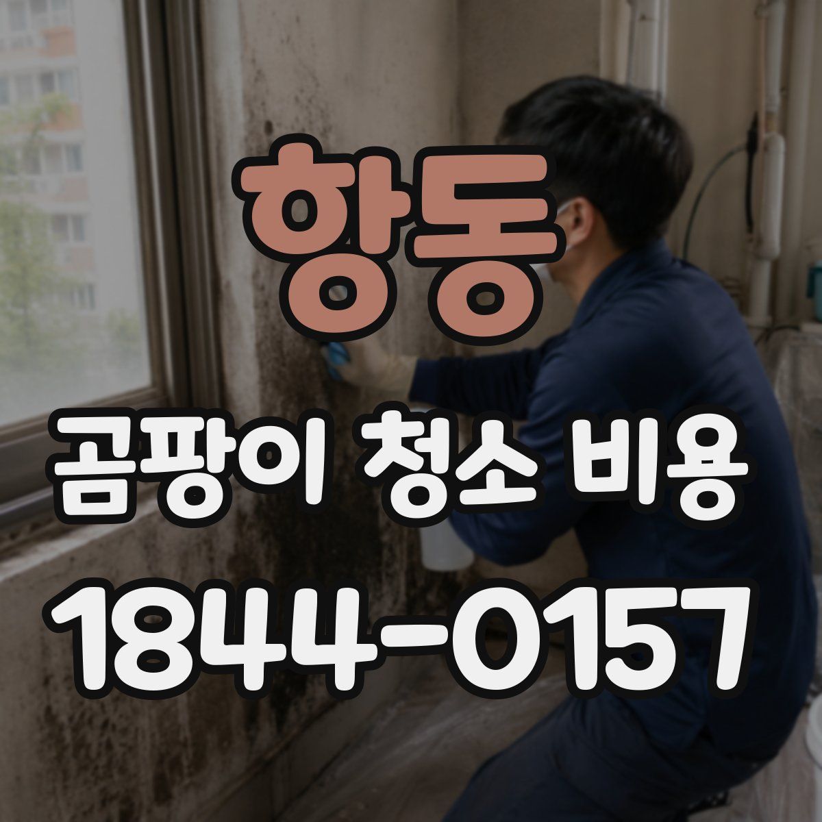 항동 곰팡이 청소 비용