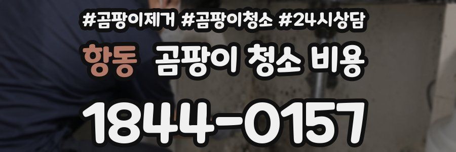 항동 곰팡이 청소 비용