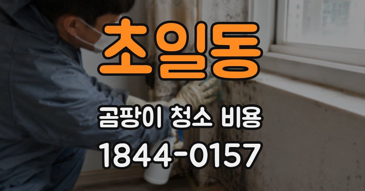 초일동 곰팡이 청소 비용