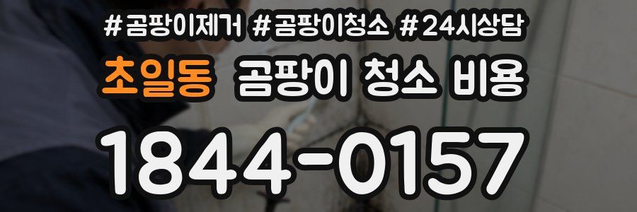 초일동 곰팡이 청소 비용