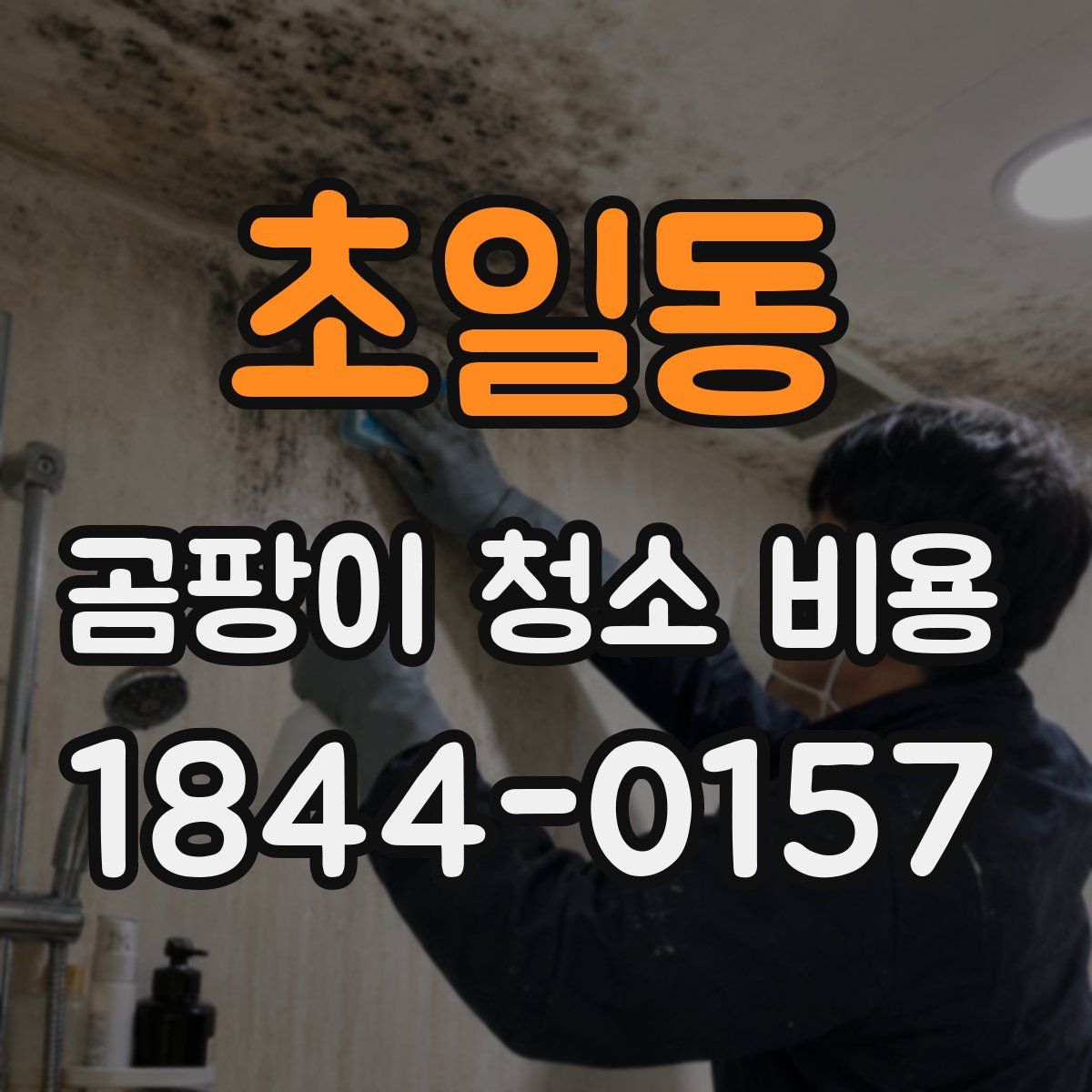 초일동 곰팡이 청소 비용