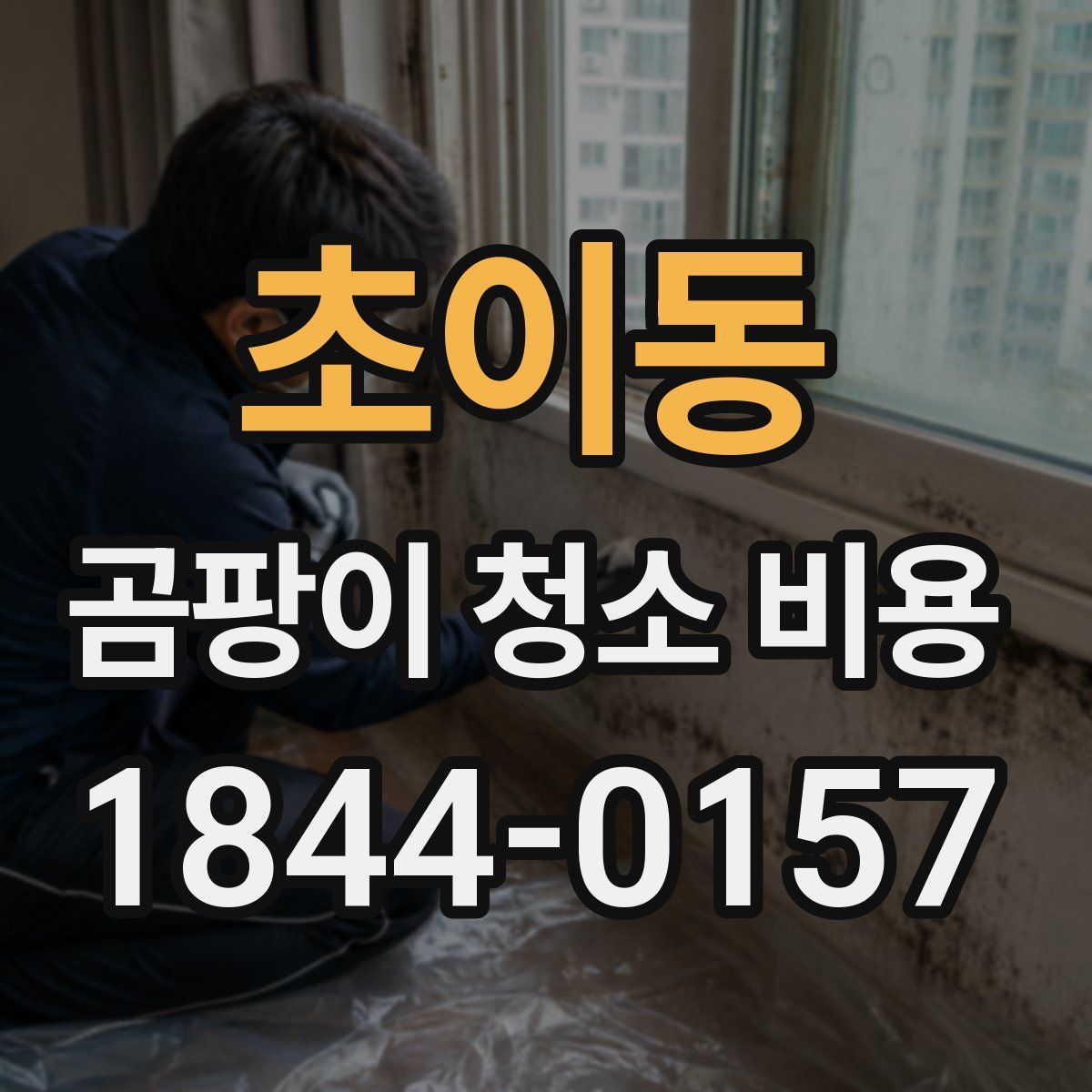 초이동 곰팡이 청소 비용