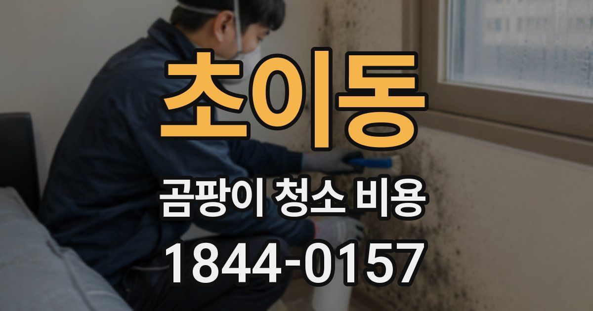 초이동 곰팡이 청소 비용