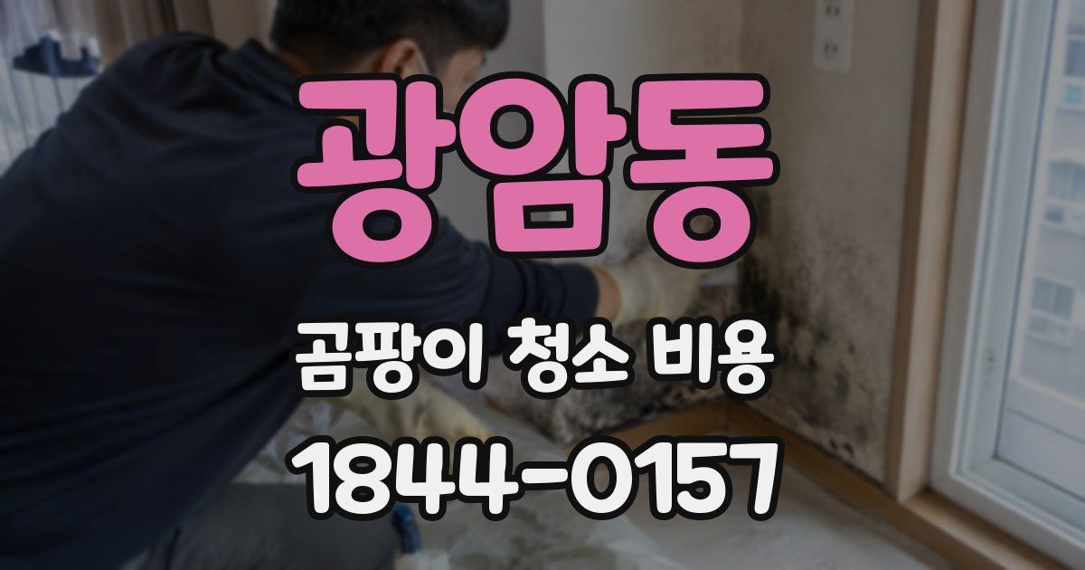 광암동 곰팡이 청소 비용