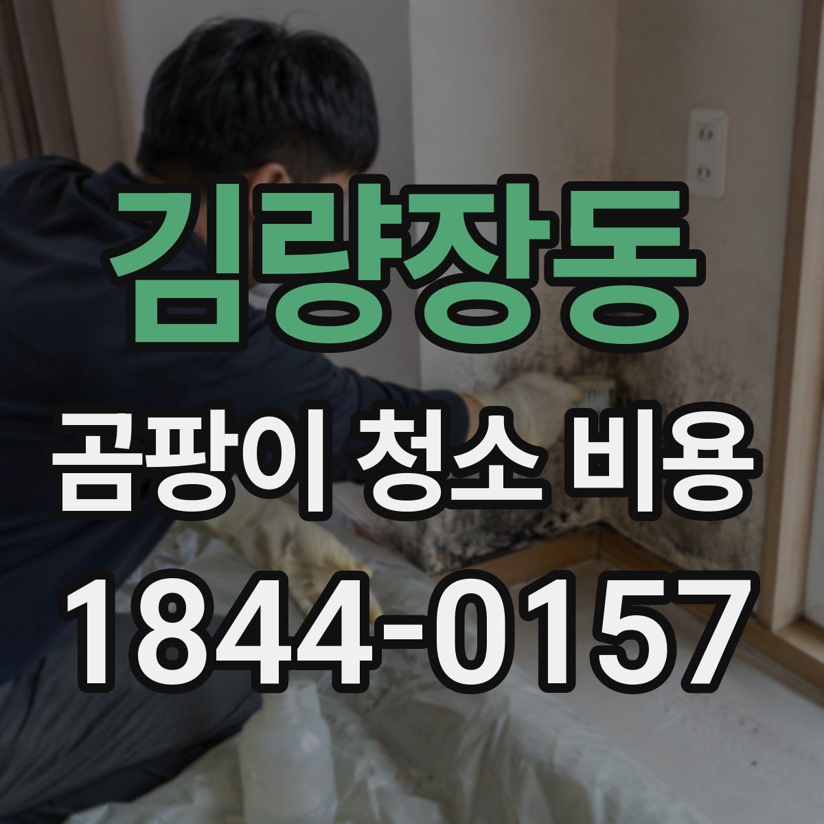 김량장동 곰팡이 청소 비용